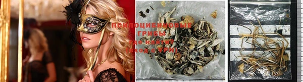 молекула духа Карталы