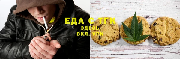 стаф Касимов