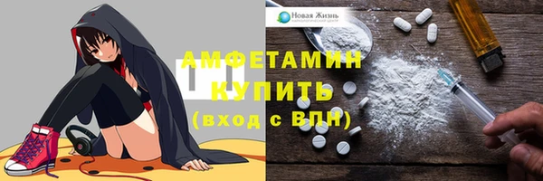 стаф Касимов