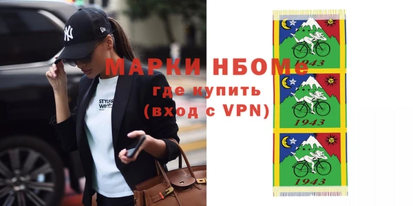 стаф Касимов