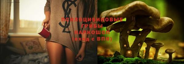 стаф Касимов
