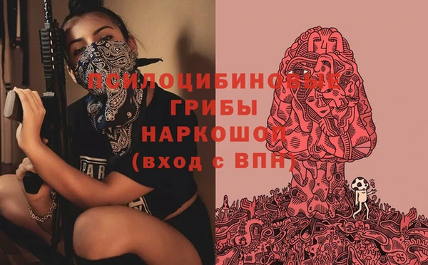 ГАЛЛЮЦИНОГЕННЫЕ ГРИБЫ Карпинск