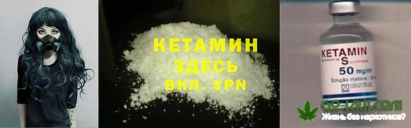 стаф Касимов