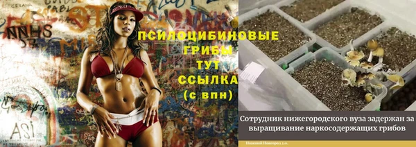ГАЛЛЮЦИНОГЕННЫЕ ГРИБЫ Карпинск