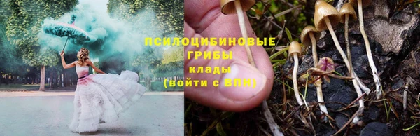 ГАЛЛЮЦИНОГЕННЫЕ ГРИБЫ Карпинск