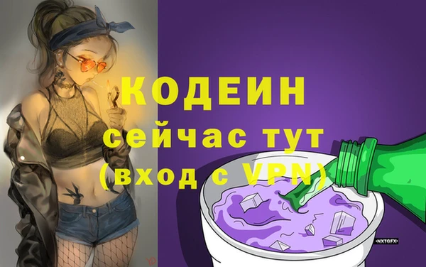 стаф Касимов