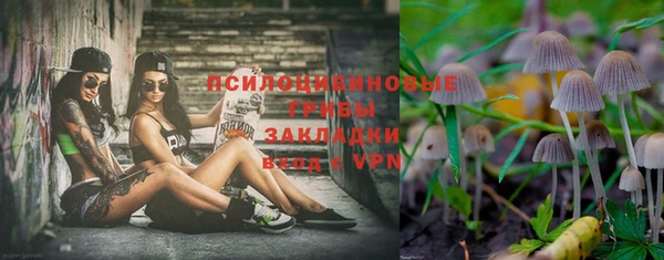 молекула духа Карталы