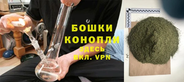 стаф Касимов