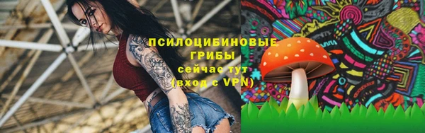 стаф Касимов