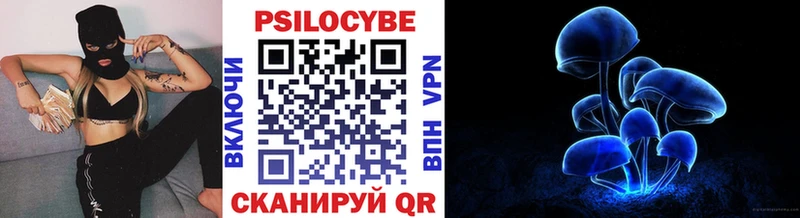 Купить закладки  Советский  Галлюциногенные грибы MAGIC MUSHROOMS 